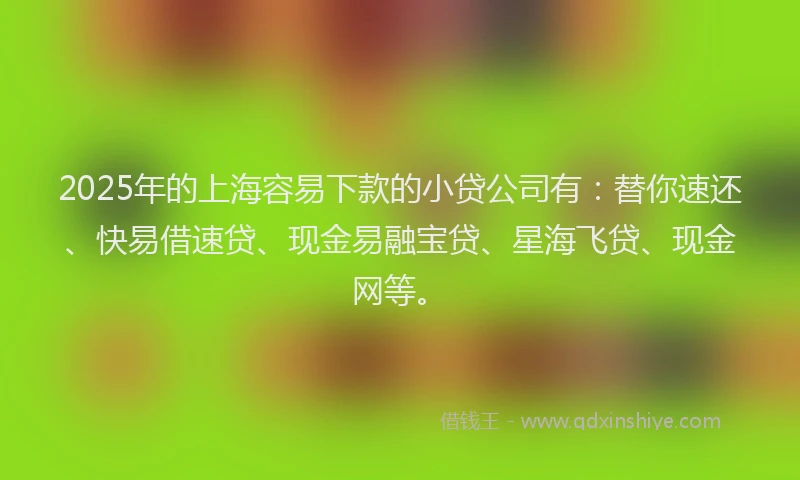 2025年的上海容易下款的小贷公司有：替你速还、快易借速贷、现金易融宝贷、星海飞贷、现金网等。