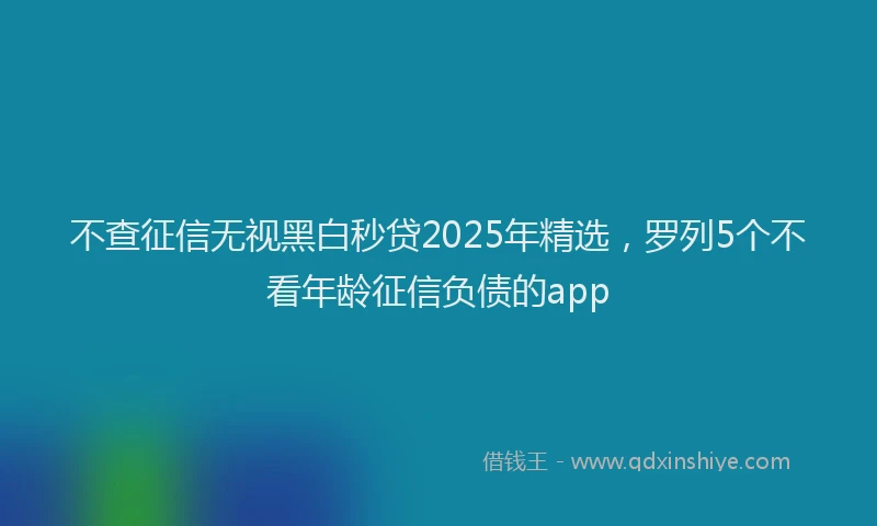 不查征信无视黑白秒贷2025年精选，罗列5个不看年龄征信负债的app