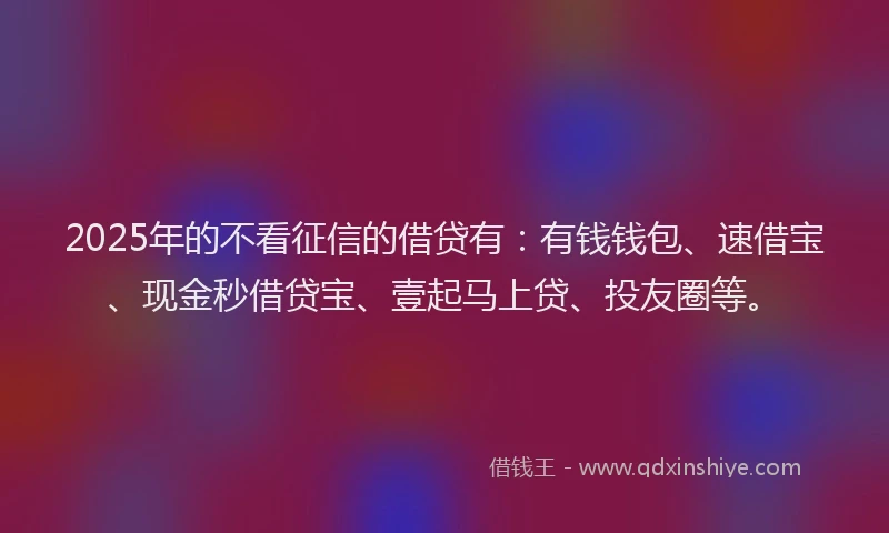 2025年的不看征信的借贷有：有钱钱包、速借宝、现金秒借贷宝、壹起马上贷、投友圈等。