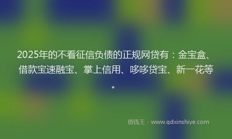 2025年的不看征信负债的正规网贷有：金宝盒、借款宝速融宝、掌上信用、哆哆贷宝、新一花等。