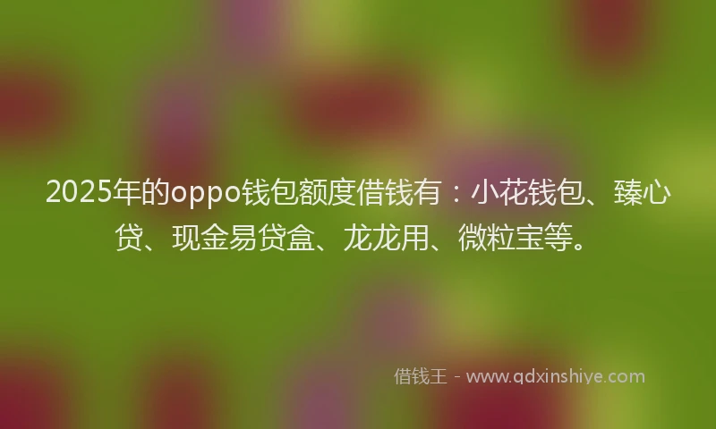 2025年的oppo钱包额度借钱有：小花钱包、臻心贷、现金易贷盒、龙龙用、微粒宝等。