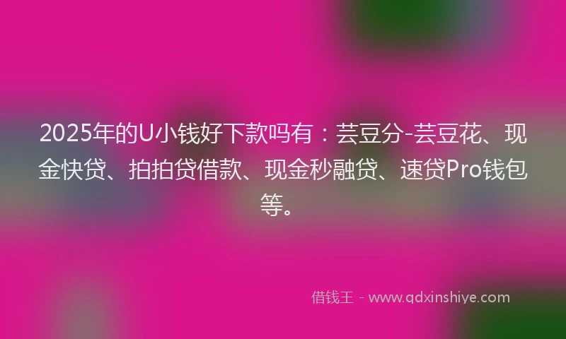 2025年的U小钱好下款吗有：芸豆分-芸豆花、现金快贷、拍拍贷借款、现金秒融贷、速贷Pro钱包等。