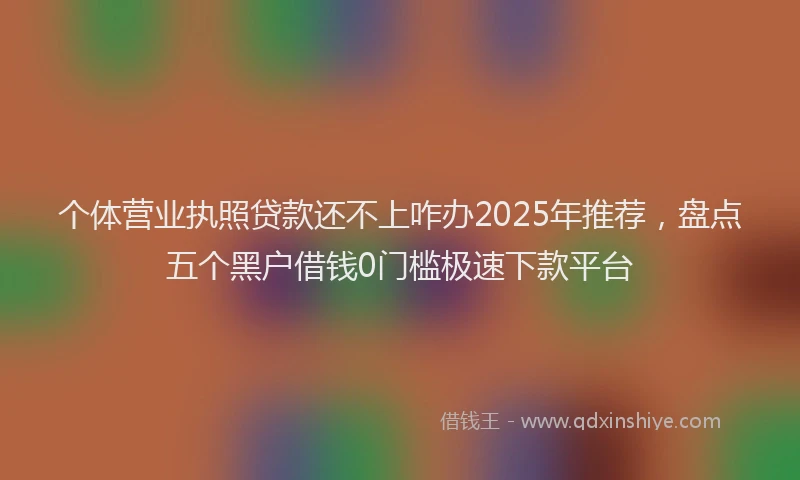 个体营业执照贷款还不上咋办2025年推荐，盘点五个黑户借钱0门槛极速下款平台