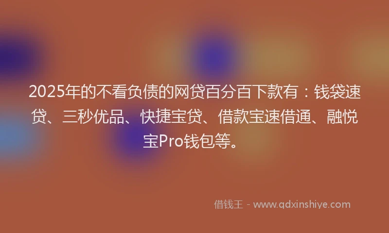 2025年的不看负债的网贷百分百下款有：钱袋速贷、三秒优品、快捷宝贷、借款宝速借通、融悦宝Pro钱包等。