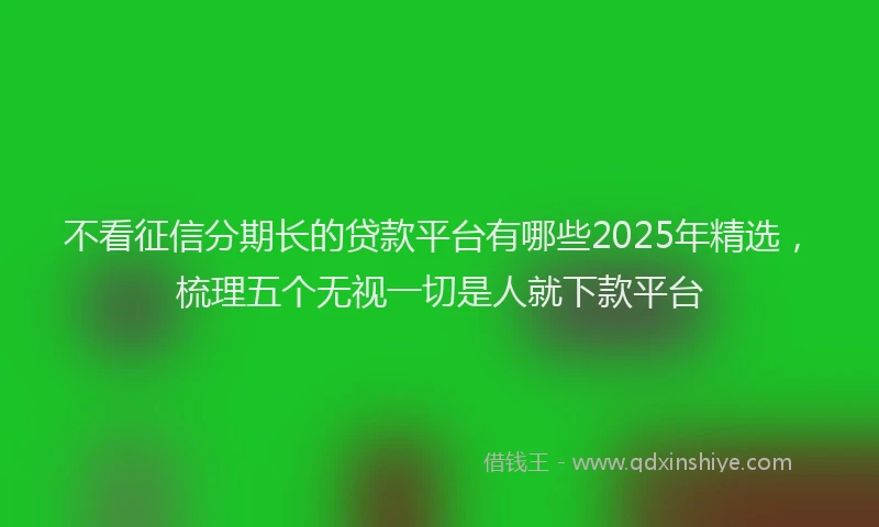 不看征信分期长的贷款平台有哪些2025年精选，梳理五个无视一切是人就下款平台