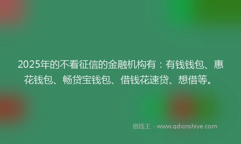 2025年的不看征信的金融机构有：有钱钱包、惠花钱包、畅贷宝钱包、借钱花速贷、想借等。
