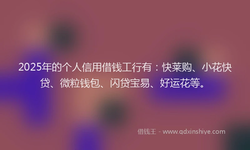 2025年的个人信用借钱工行有：快莱购、小花快贷、微粒钱包、闪贷宝易、好运花等。