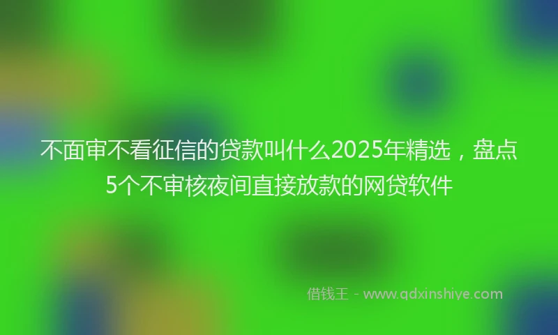 不面审不看征信的贷款叫什么2025年精选，盘点5个不审核夜间直接放款的网贷软件