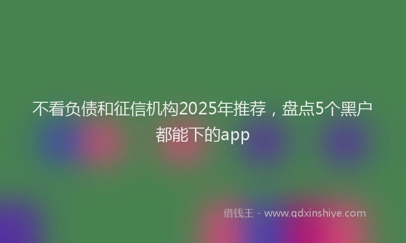 不看负债和征信机构2025年推荐，盘点5个黑户都能下的app