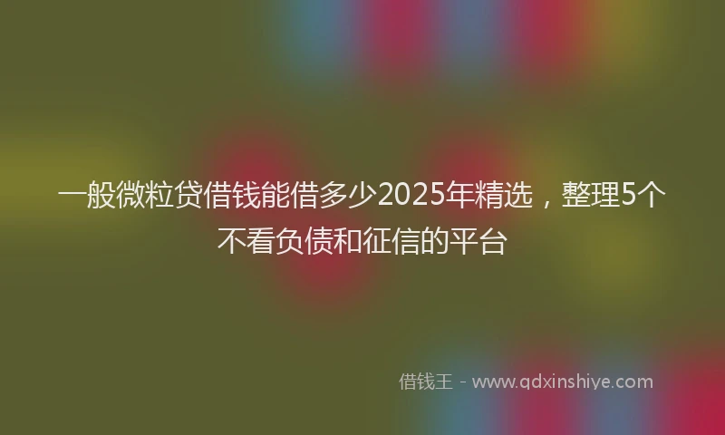 一般微粒贷借钱能借多少2025年精选，整理5个不看负债和征信的平台