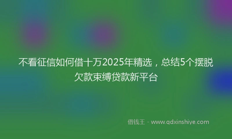 不看征信如何借十万2025年精选，总结5个摆脱欠款束缚贷款新平台