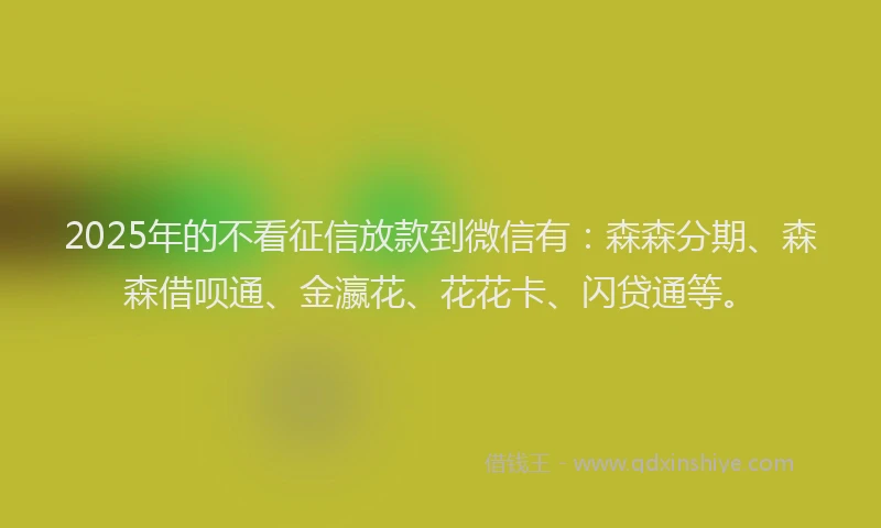 2025年的不看征信放款到微信有：森森分期、森森借呗通、金瀛花、花花卡、闪贷通等。