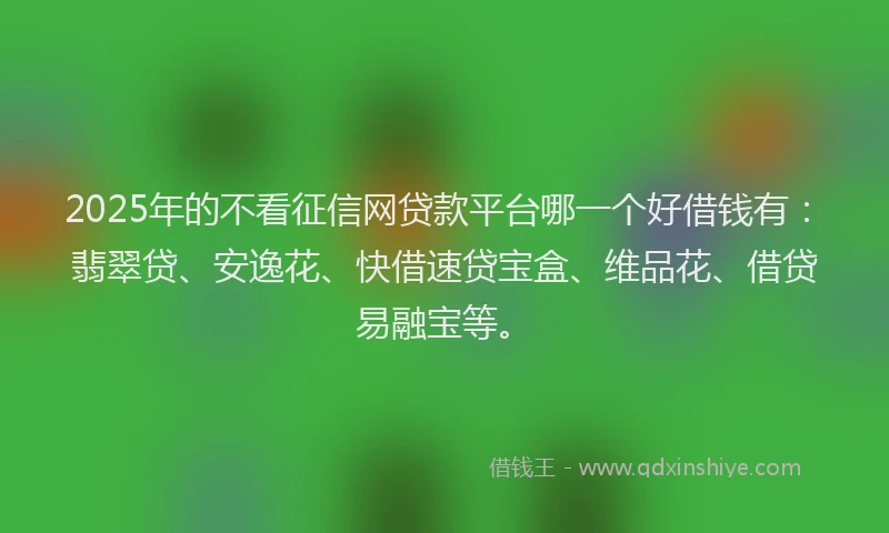2025年的不看征信网贷款平台哪一个好借钱有：翡翠贷、安逸花、快借速贷宝盒、维品花、借贷易融宝等。