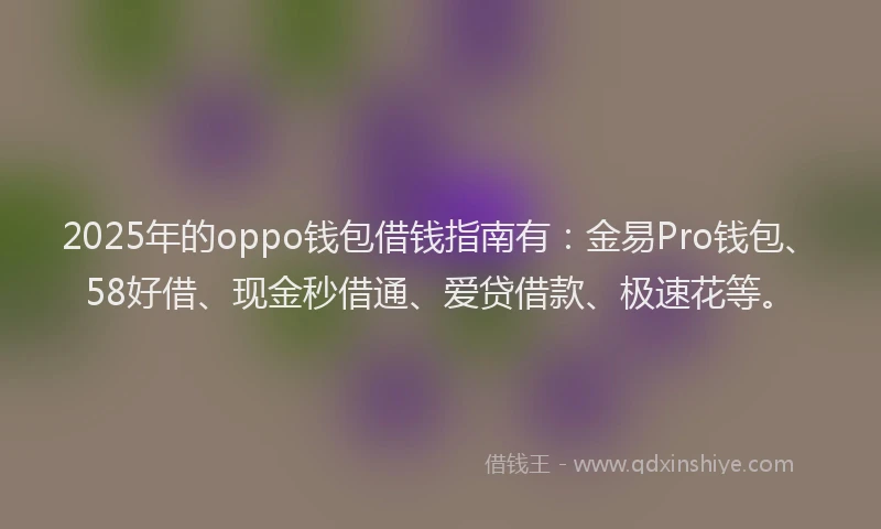 2025年的oppo钱包借钱指南有：金易Pro钱包、58好借、现金秒借通、爱贷借款、极速花等。