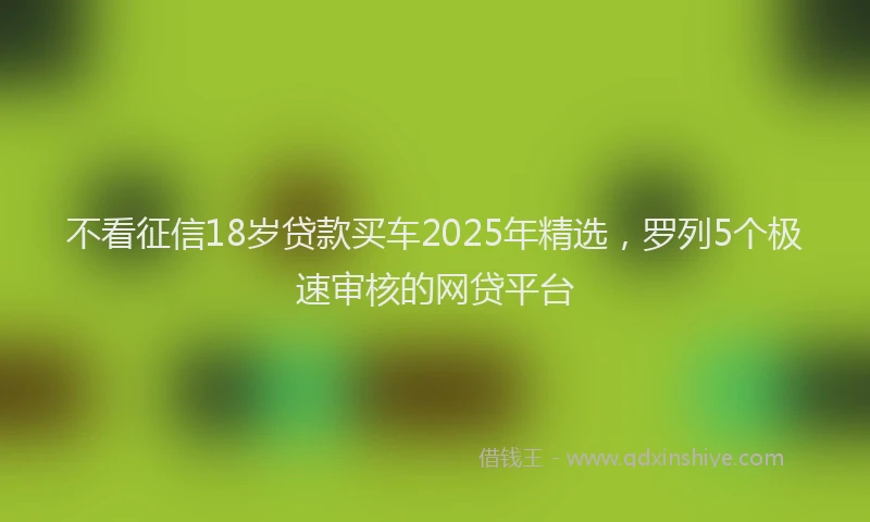 不看征信18岁贷款买车2025年精选，罗列5个极速审核的网贷平台