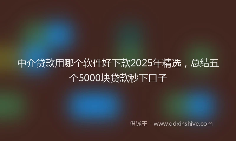 中介贷款用哪个软件好下款2025年精选，总结五个5000块贷款秒下口子