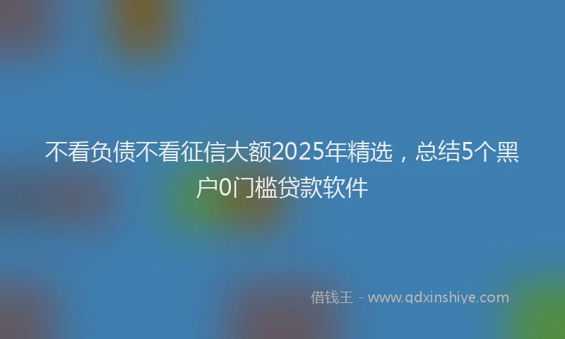 不看负债不看征信大额2025年精选，总结5个黑户0门槛贷款软件