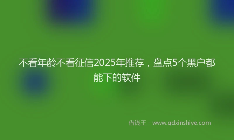 不看年龄不看征信2025年推荐，盘点5个黑户都能下的软件