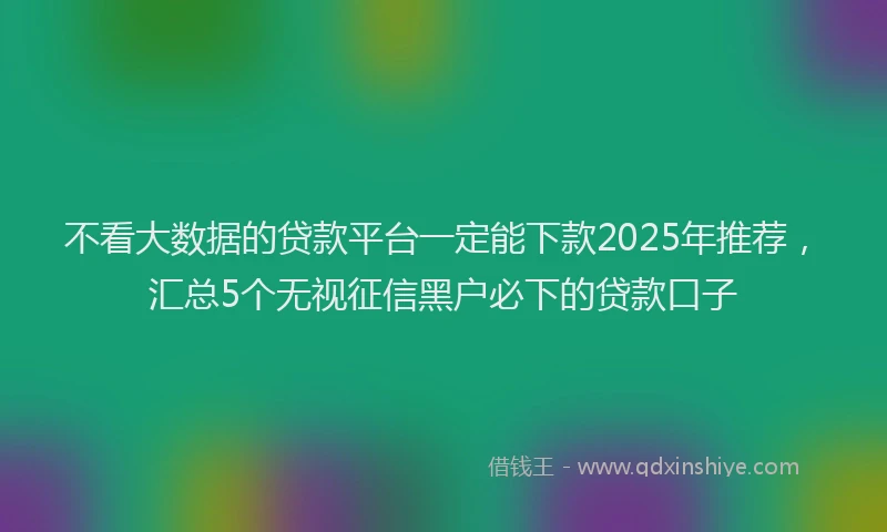 不看大数据的贷款平台一定能下款2025年推荐，汇总5个无视征信黑户必下的贷款口子