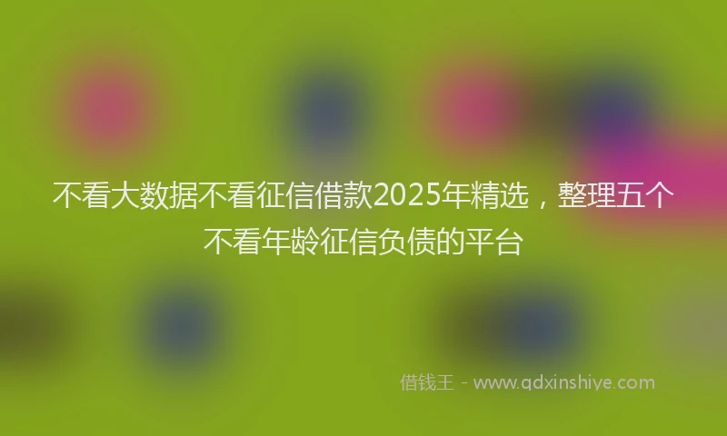 不看大数据不看征信借款2025年精选，整理五个不看年龄征信负债的平台