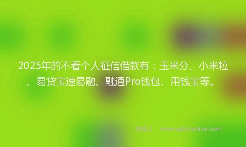 2025年的不看个人征信借款有：玉米分、小米粒、易贷宝速易融、融通Pro钱包、用钱宝等。