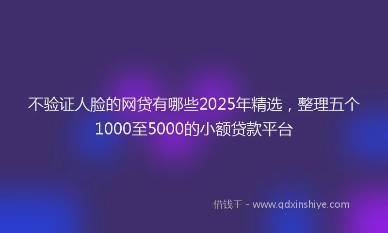 不验证人脸的网贷有哪些2025年精选，整理五个1000至5000的小额贷款平台