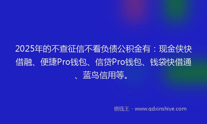 2025年的不查征信不看负债公积金有：现金侠快借融、便捷Pro钱包、信贷Pro钱包、钱袋快借通、蓝鸟信用等。