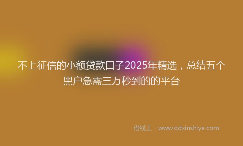 不上征信的小额贷款口子2025年精选，总结五个黑户急需三万秒到的的平台