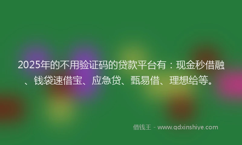 2025年的不用验证码的贷款平台有：现金秒借融、钱袋速借宝、应急贷、甄易借、理想给等。