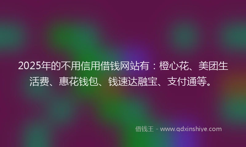2025年的不用信用借钱网站有：橙心花、美团生活费、惠花钱包、钱速达融宝、支付通等。