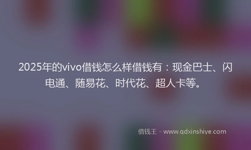 2025年的vivo借钱怎么样借钱有：现金巴士、闪电通、随易花、时代花、超人卡等。