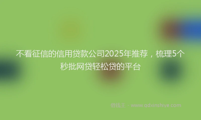 不看征信的信用贷款公司2025年推荐，梳理5个秒批网贷轻松贷的平台