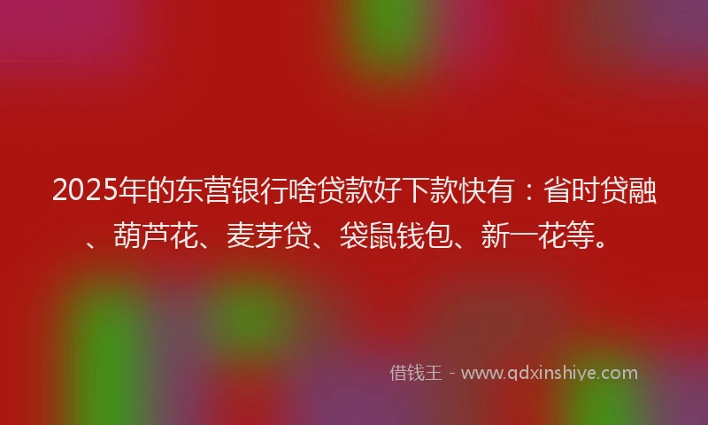 2025年的东营银行啥贷款好下款快有：省时贷融、葫芦花、麦芽贷、袋鼠钱包、新一花等。