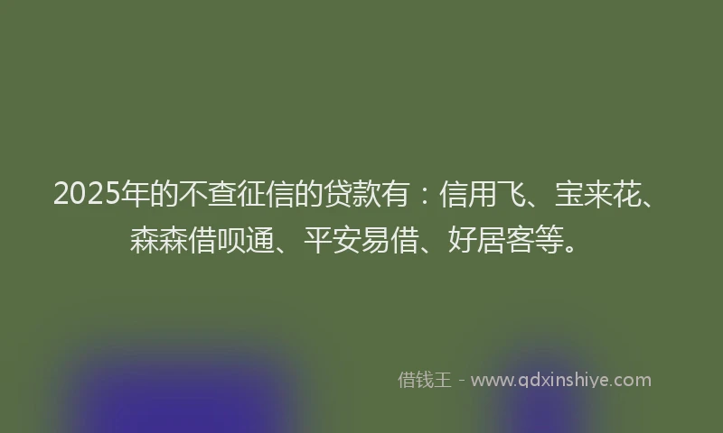 2025年的不查征信的贷款有：信用飞、宝来花、森森借呗通、平安易借、好居客等。