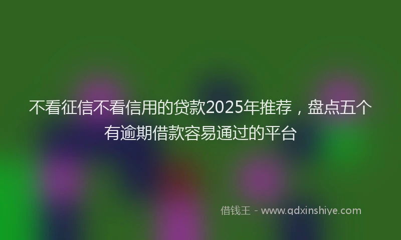不看征信不看信用的贷款2025年推荐，盘点五个有逾期借款容易通过的平台