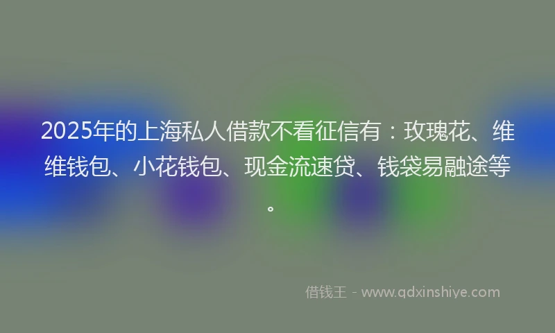2025年的上海私人借款不看征信有：玫瑰花、维维钱包、小花钱包、现金流速贷、钱袋易融途等。