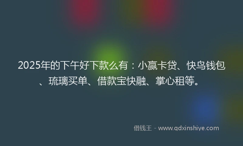 2025年的下午好下款么有:小赢卡贷、快鸟钱包、琉璃买单、借款宝快融、掌心租等。