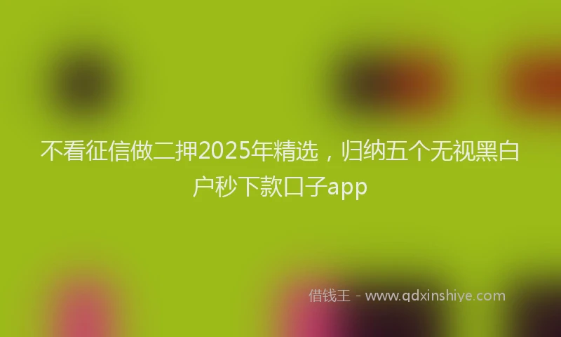 不看征信做二押2025年精选，归纳五个无视黑白户秒下款口子app