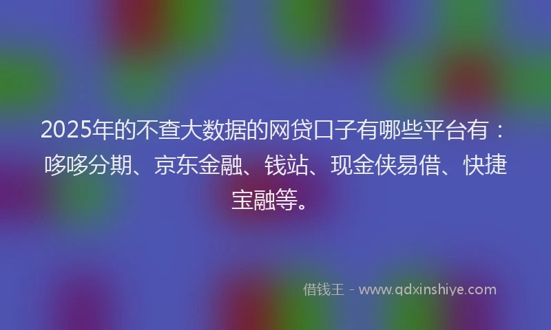 2025年的不查大数据的网贷口子有哪些平台有：哆哆分期、京东金融、钱站、现金侠易借、快捷宝融等。