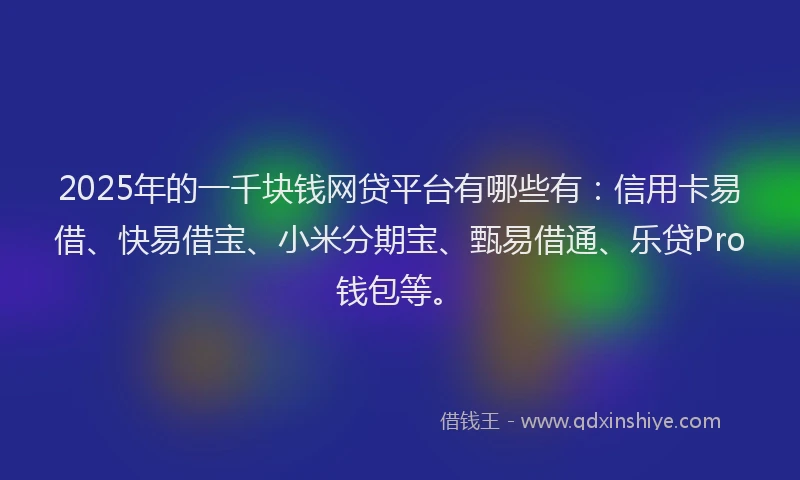 2025年的一千块钱网贷平台有哪些有：信用卡易借、快易借宝、小米分期宝、甄易借通、乐贷Pro钱包等。