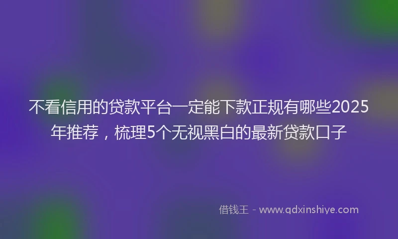 不看信用的贷款平台一定能下款正规有哪些2025年推荐，梳理5个无视黑白的最新贷款口子