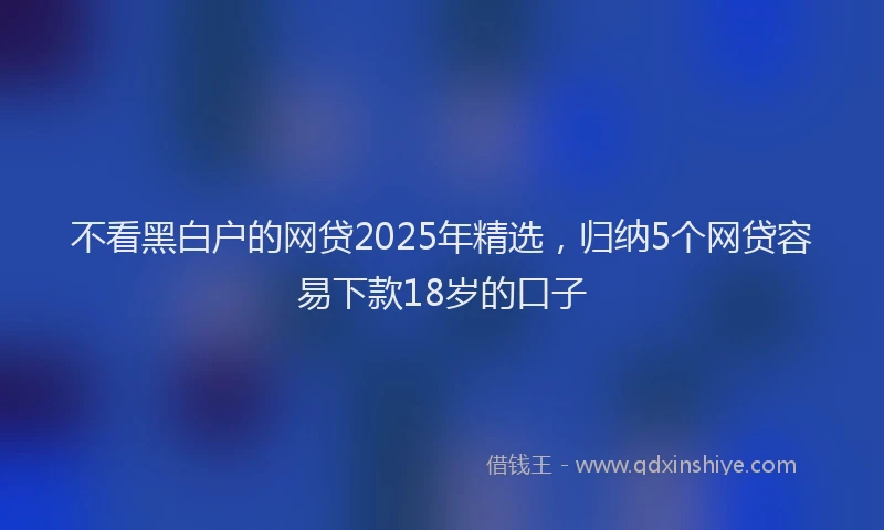 不看黑白户的网贷2025年精选，归纳5个网贷容易下款18岁的口子