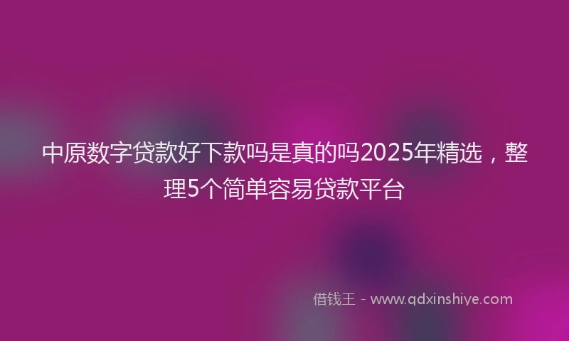 中原数字贷款好下款吗是真的吗2025年精选，整理5个简单容易贷款平台