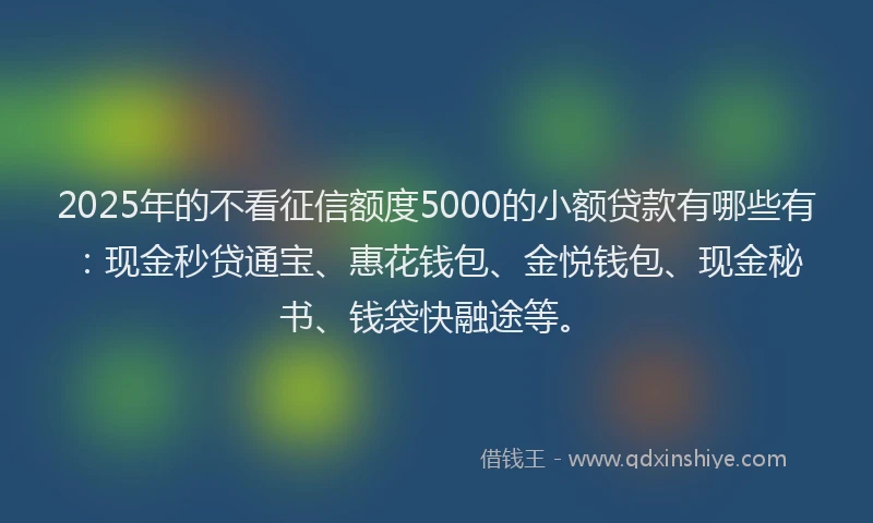 2025年的不看征信额度5000的小额贷款有哪些有：现金秒贷通宝、惠花钱包、金悦钱包、现金秘书、钱袋快融途等。