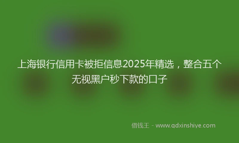 上海银行信用卡被拒信息2025年精选，整合五个无视黑户秒下款的口子