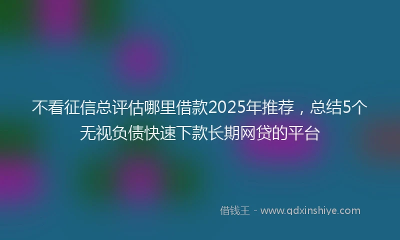 不看征信总评估哪里借款2025年推荐，总结5个无视负债快速下款长期网贷的平台