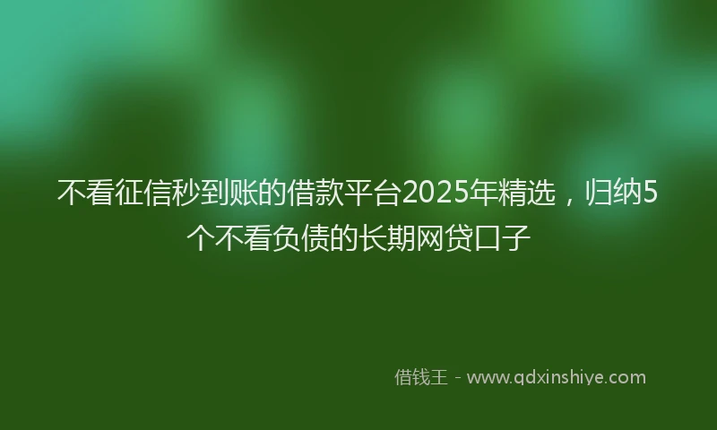 不看征信秒到账的借款平台2025年精选，归纳5个不看负债的长期网贷口子