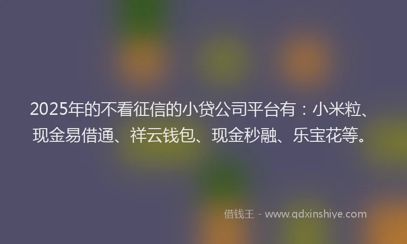 2025年的不看征信的小贷公司平台有：小米粒、现金易借通、祥云钱包、现金秒融、乐宝花等。
