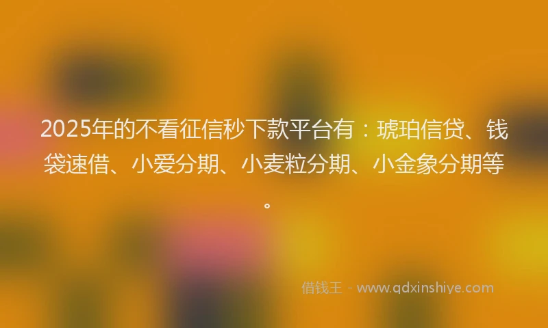2025年的不看征信秒下款平台有：琥珀信贷、钱袋速借、小爱分期、小麦粒分期、小金象分期等。