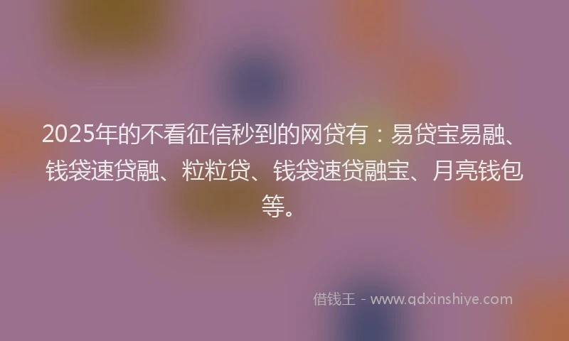 2025年的不看征信秒到的网贷有：易贷宝易融、钱袋速贷融、粒粒贷、钱袋速贷融宝、月亮钱包等。